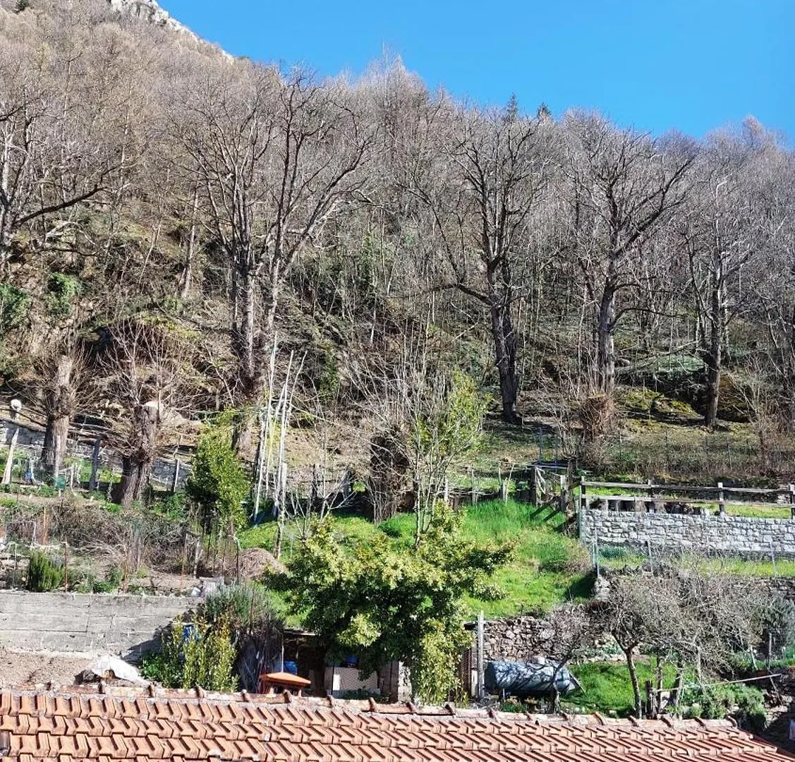 La Casa Panoramica Apartman Berzo